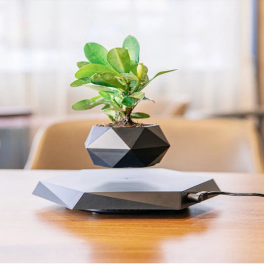 Levitating Air Magnetic Floating Flower Pot